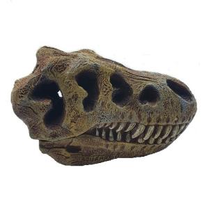 AD. CRANEO DE T. REX HUECO