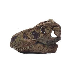 AD. CRANEO DE T. REX DE ACCION