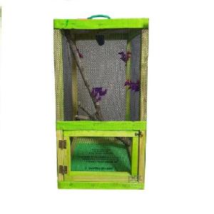 IGUANARIO CHICO FERI 30X30X50CM VERDE