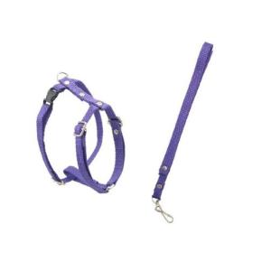 JUEGO DE CORREA Y PECHERA FERRIONI No1 ECO CHIHUAHUA