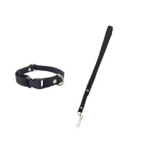 JUEGO DE CORREA Y COLLAR NYLON No 1 ECO CHIHUAHUA