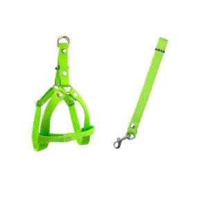 JUEGO DE CORREA Y PECHERA COLUMPIO No 2 ARNES MEDIANA