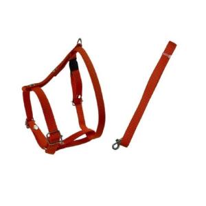 JUEGO DE CORREA Y PECHERA TRADICIONAL CHICA