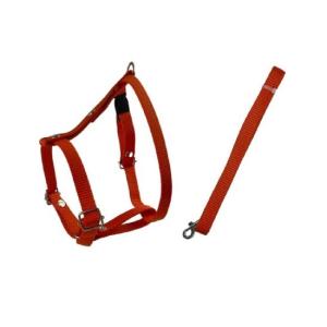 JUEGO CORREA Y PECHERA TRADICIONAL GDE 2.5CM