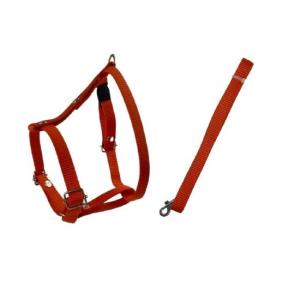 JUEGO DE CORREA Y PECHERA No 2 TRADICIONAL MEDIANA