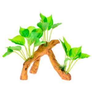 RAIZ C/PLANTAS #7 17X9X15CM