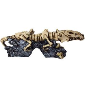 DINOSAURIO ESQUELETO