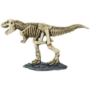 TIRANOREX