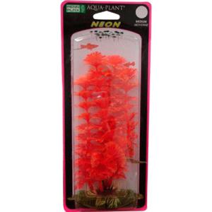 PLANTA AMBULIA ROJA/AZUL CH. NEON