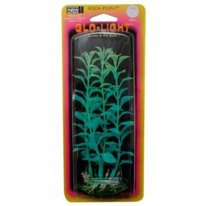 PLANTA LUDWIGIA VERDE/AZUL G.L.