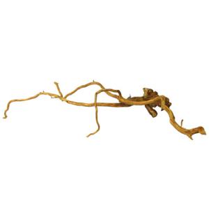 RAIZ DE VIÑEDO 30X50CM