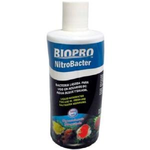 BACTERIA P/AGUA DULCE Y SAL. 500 ML