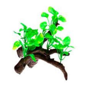 RAIZ C/PLANTAS #2 13X10X14CM