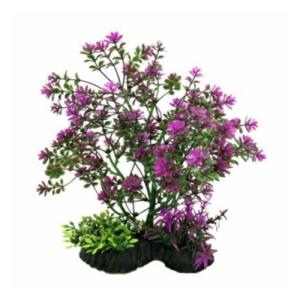 PLANTA DE BONSAI PURPURA 20CM.