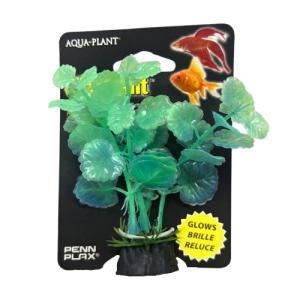 PLANTA QUE BRILLA EN LA OSCURIDAD 10 CM.