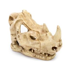 CABEZA DE RINOCERONTE 9X15X13 CM.