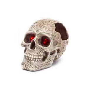 CALAVERAS PENN-PLAX 12.7X17.2X13.9CM