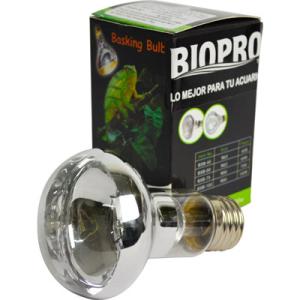 FOCO LUZ BLANCA 60 W