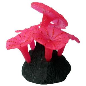 ANEMONA CHICA SIN PIEDRA