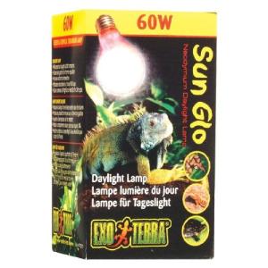 FOCO DAY-GLO 60W. SPECTRUM