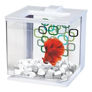 BETTA KIT AUTOLIMPIEZA BLANCO 2.5LTS