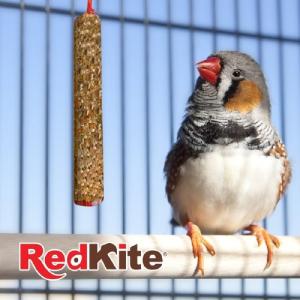 BARRITA P/AVES CANORAS ALTA EN PROTEINA 2 PZA