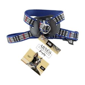 ARNES CH AZUL BERRYDOG P/MASCOTA