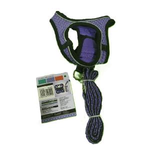 SET ARNES Y CORREA SPORTIE XCH VIOLETA