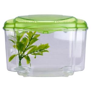 BETTA KIT VERDE 0.5GAL (1.8L)
