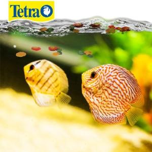 TETRA PRO COLOR CRISP 210GR7.41OZ