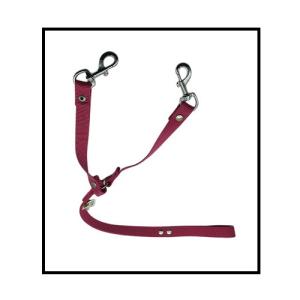 CORREA NYLON 2 CM CHICA PARA 2 PERROS