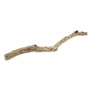 RAMA CARDENCHE GRANDE