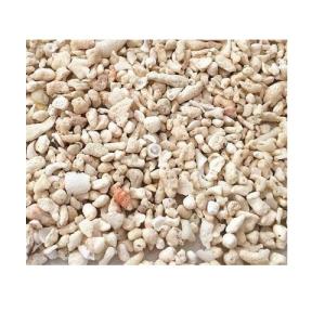 GRAVILLA BASE PARA ACUARIO 1KG