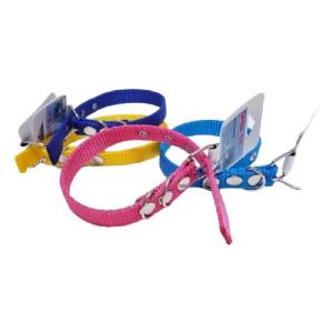 COLLAR NYLON 2.5 CM MEDIANO