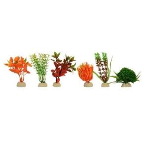 PLANTA SUNNY MINI SURTIDA 2