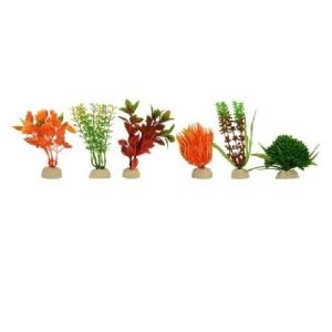 PLANTA SUNNY MINI SURTIDA 2