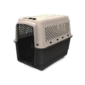 TRANSPORTADORA KENNEL ECONOMICA IMPORTAD