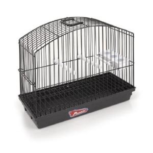 JAULA EXPOSICIÓN BORDER NEGRO