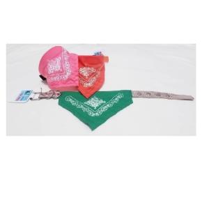 COLLAR NYLON MINI 1.5 CMS. C/PALIACATE